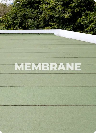 Commercial membrane roof protected with GoNano