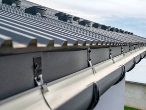 {{ custom_values.service_1 }} in {{custom_values.area_3})