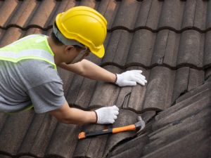 {{ custom_values.service_4 }} in {{custom_values.area_1})