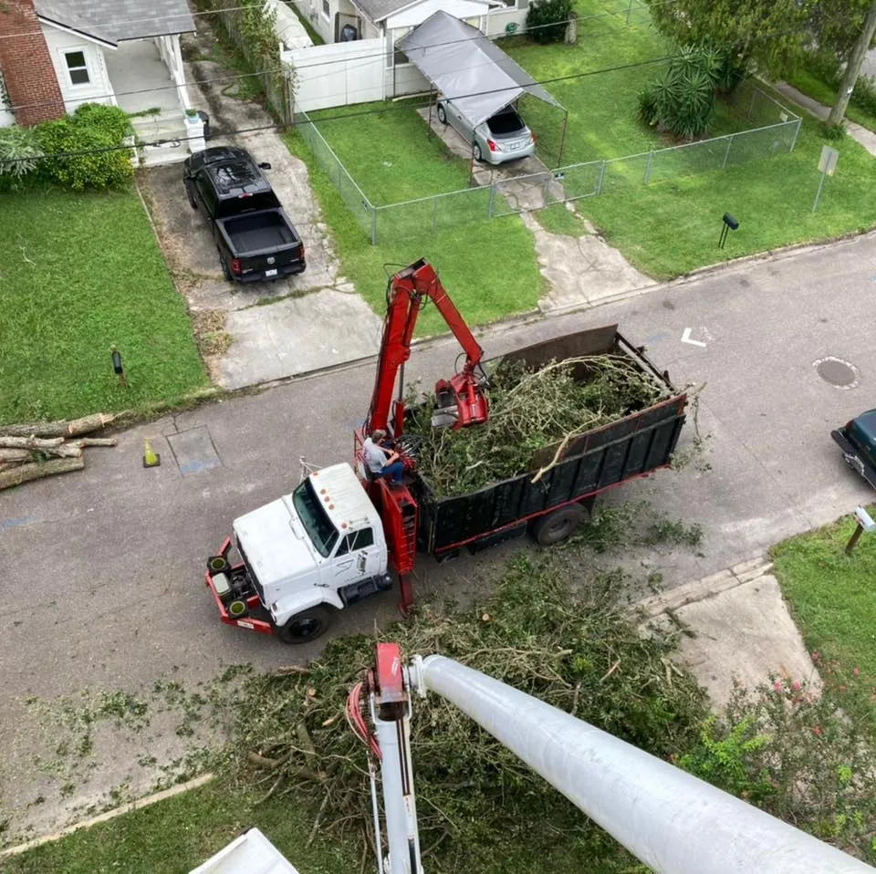 Tree service project photo 10