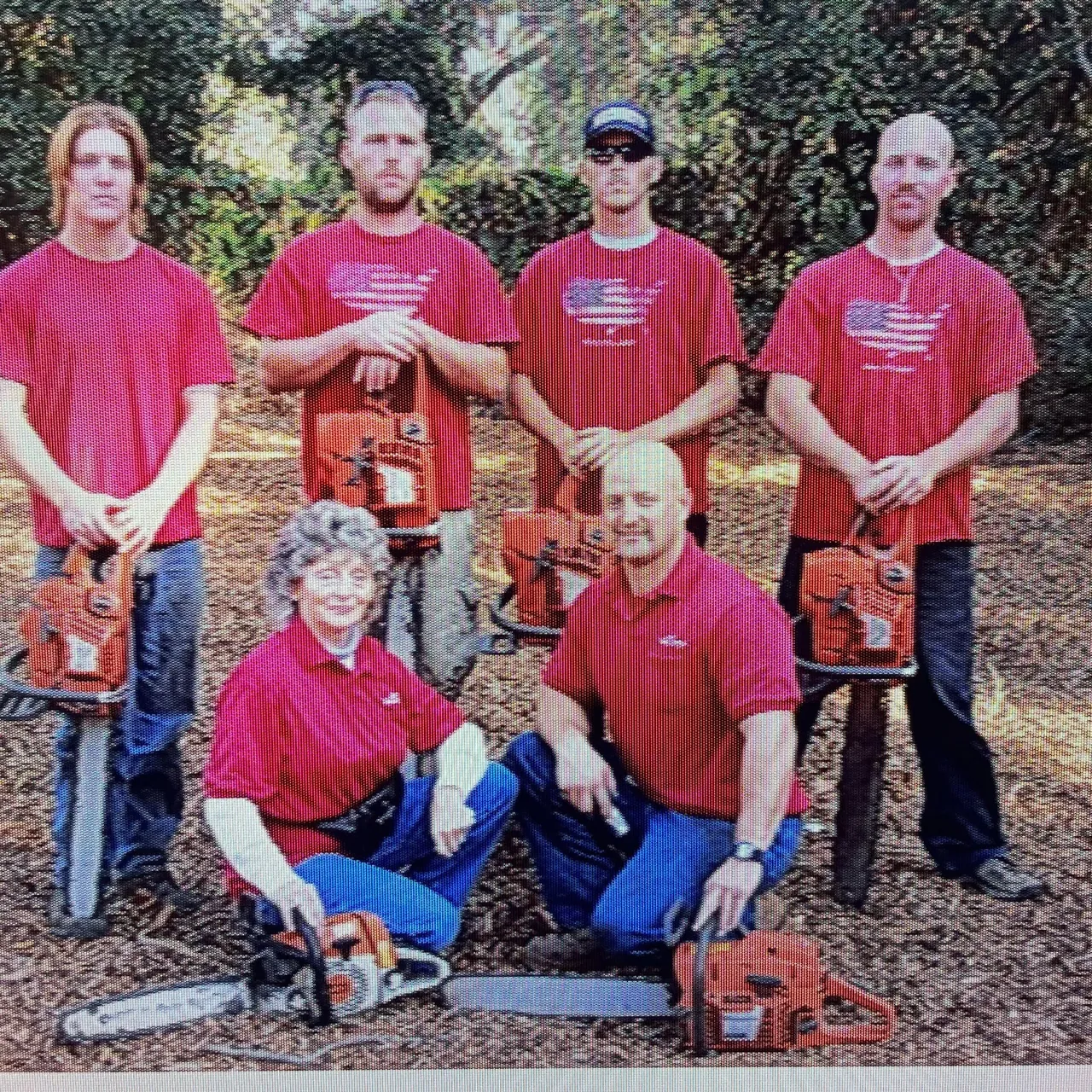 Tree service project photo 6