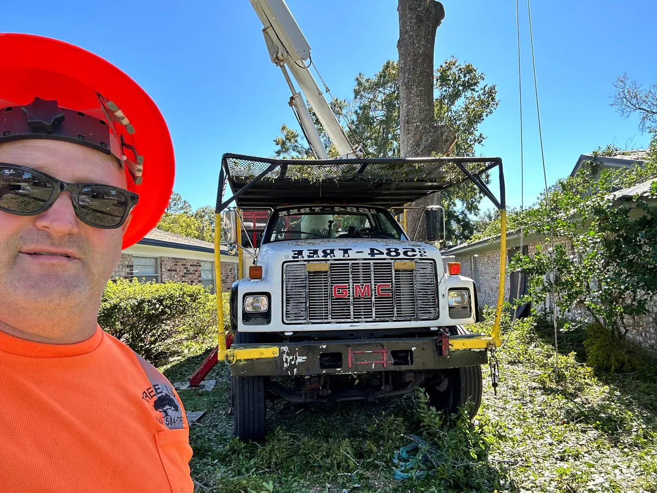 Tree service project photo 5