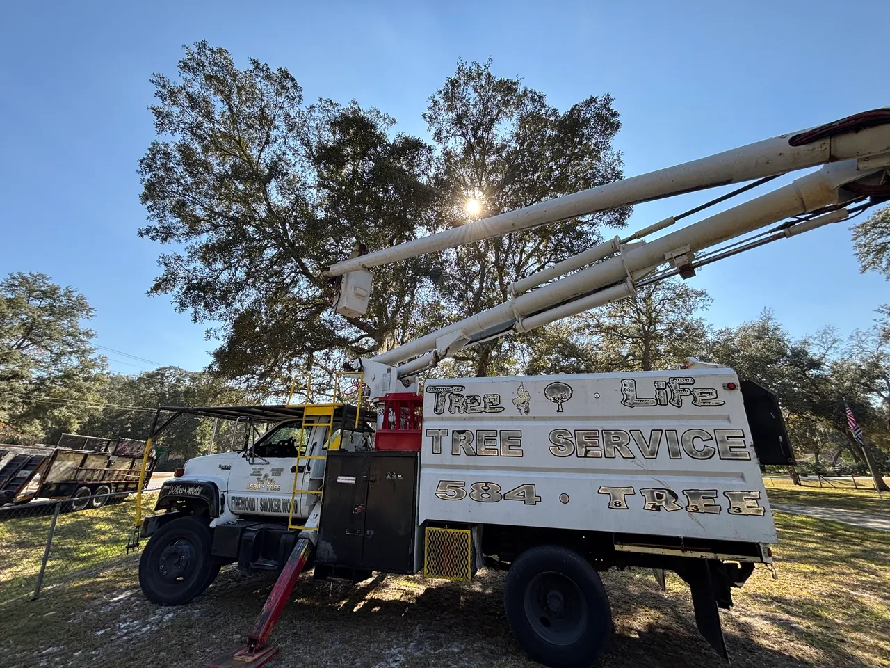 Tree service project photo 4