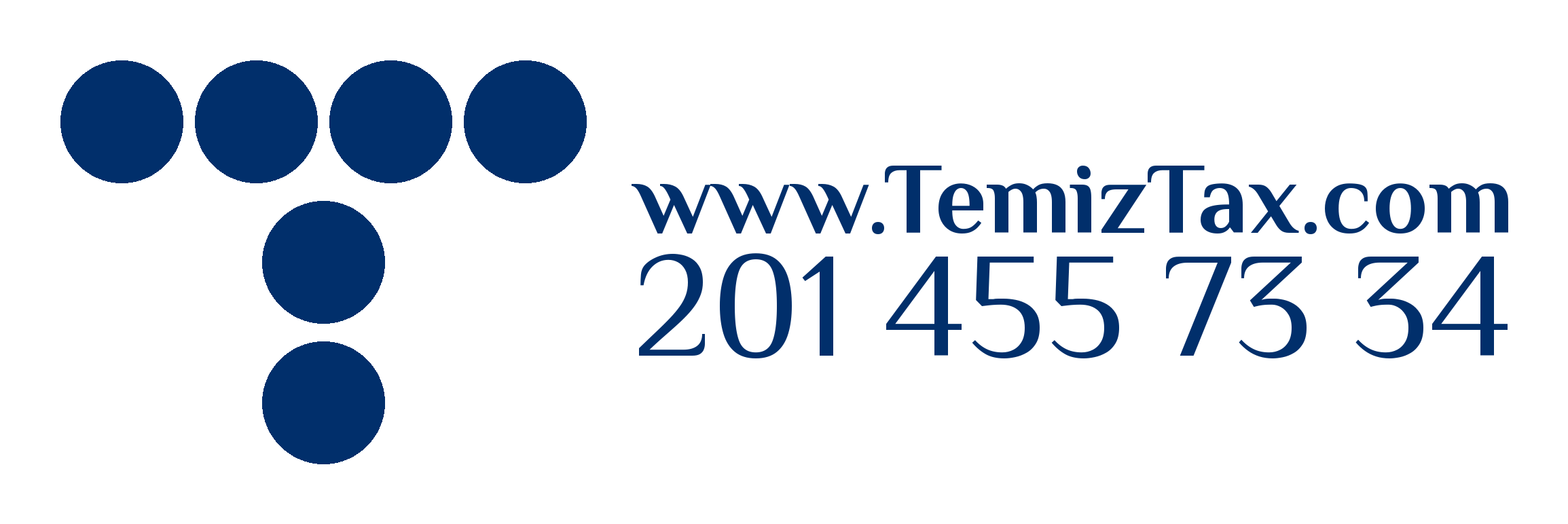 TemizTax