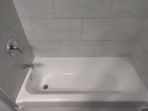 Carpentry and Framing Alexander