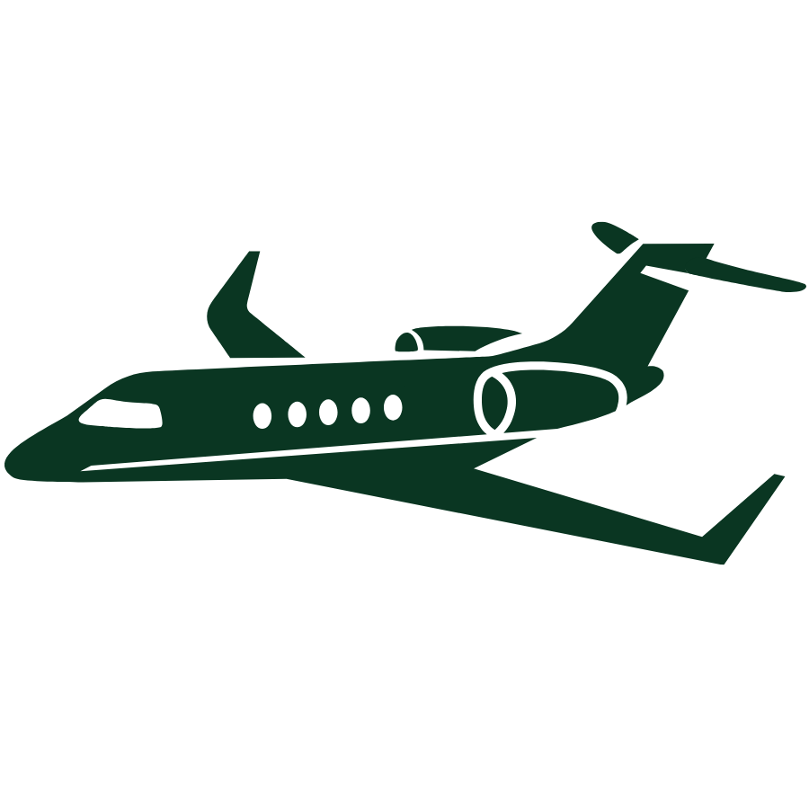 Dealership vertical icon
