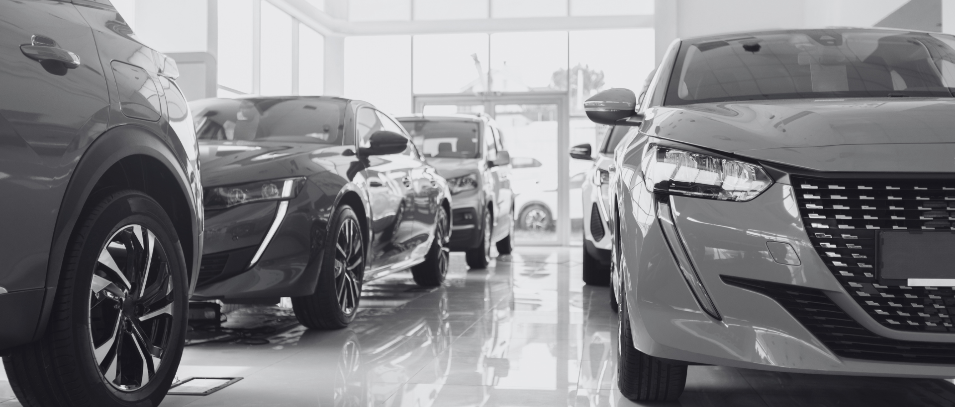 Automotive CRM Reactivation + Conquest Campaigns
