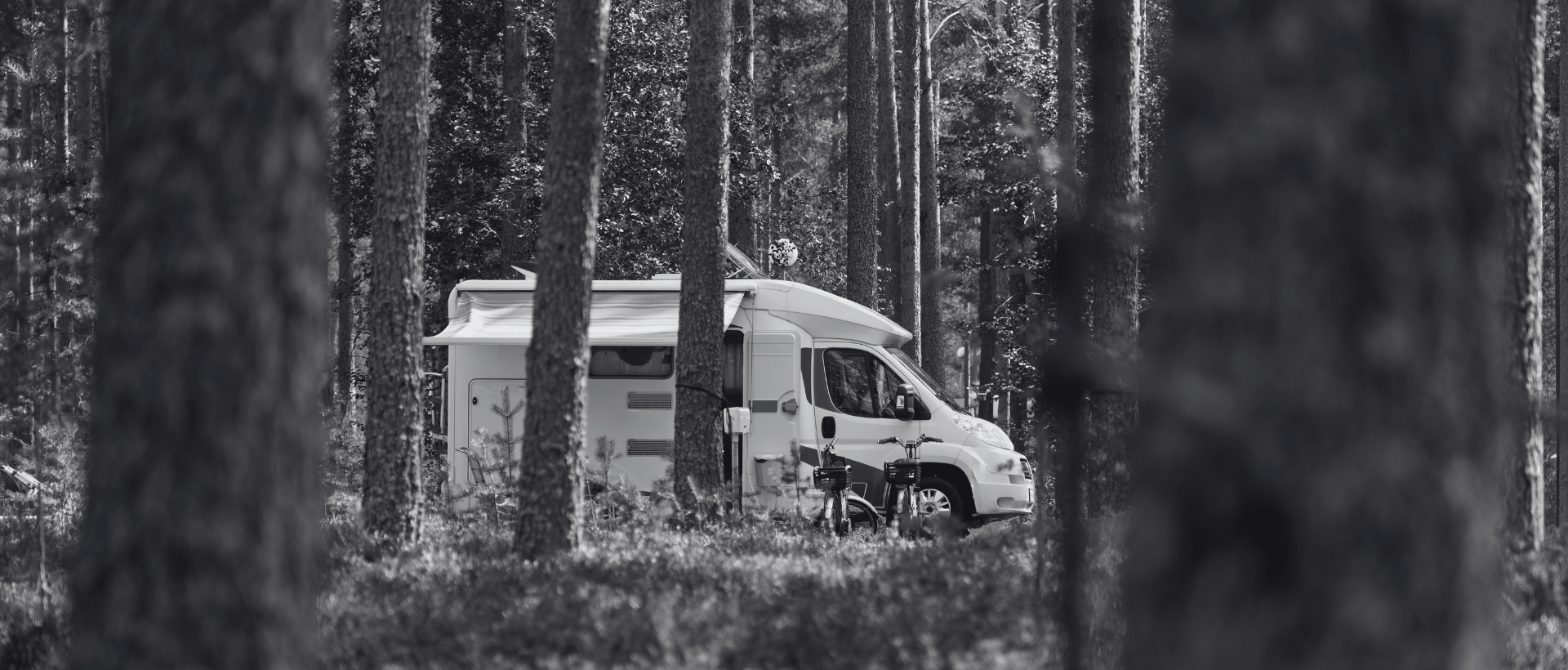 RV CRM Reactivation + Conquest Activation