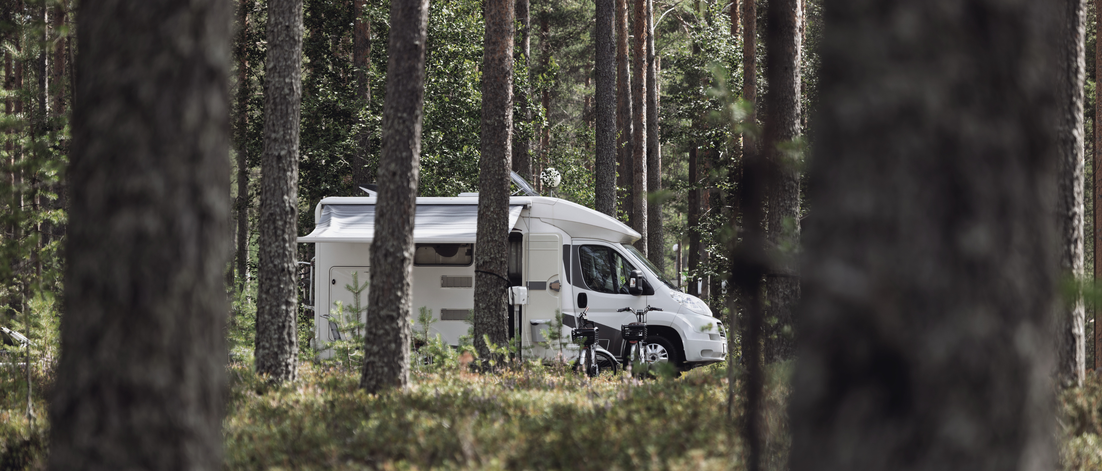 RV buyer floorplan and family needs