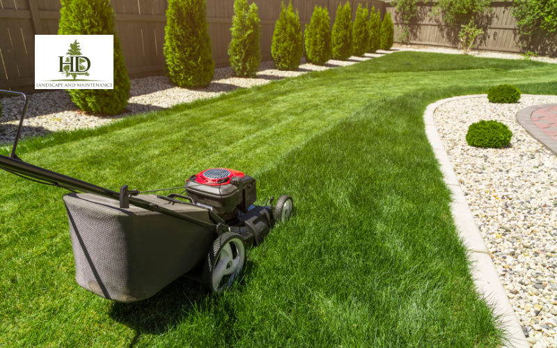 Best Lawn Mower Service Near Me for a Clean, Healthy Lawn