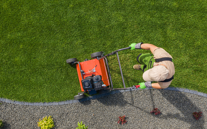 Best Lawn Mower Service Near Me for a Clean, Healthy Lawn