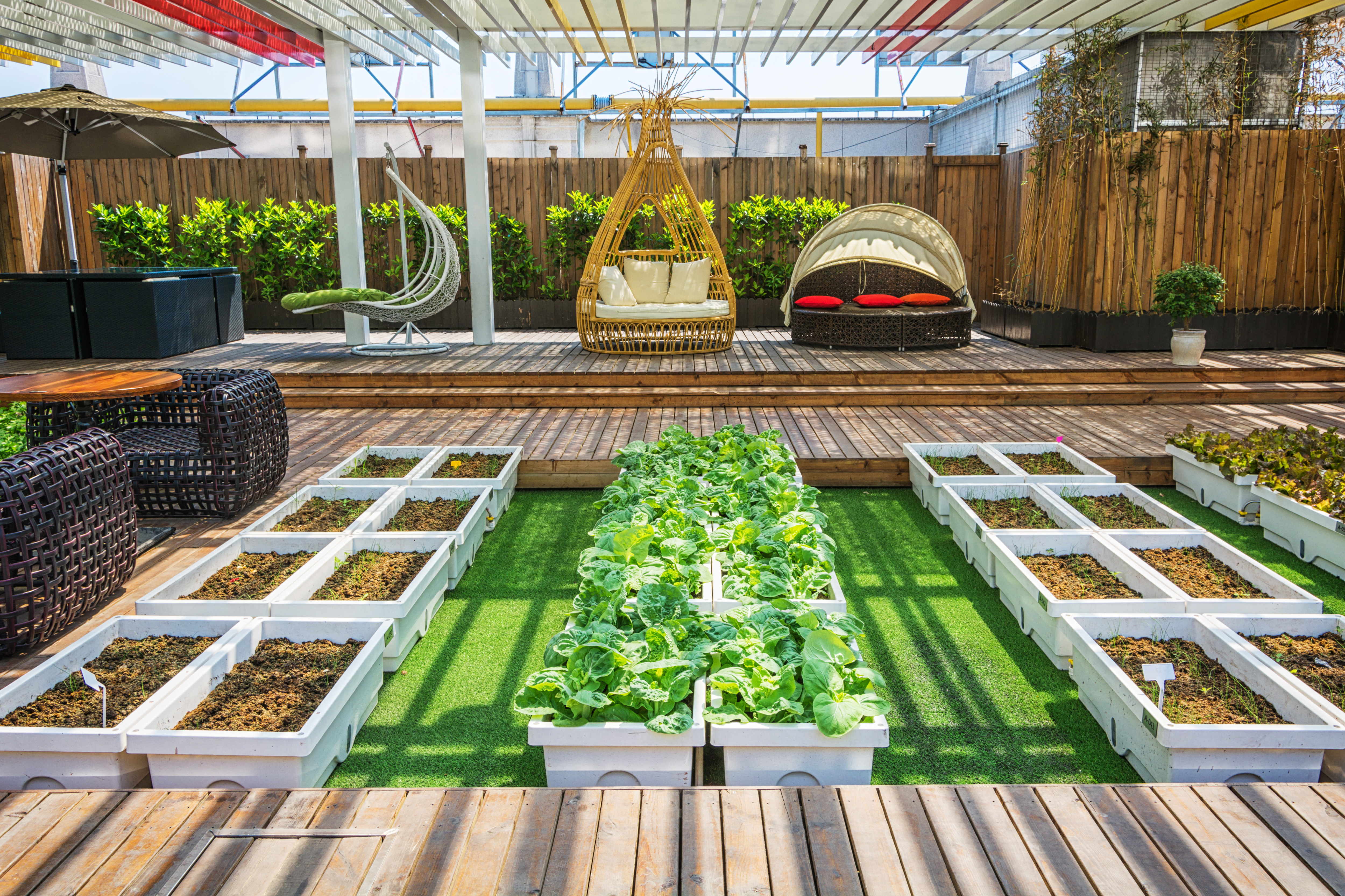garden design
