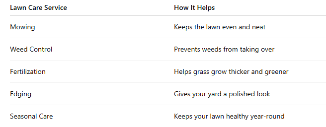 Why Professional Lawn Care Services Are Worth It for Homeowners
