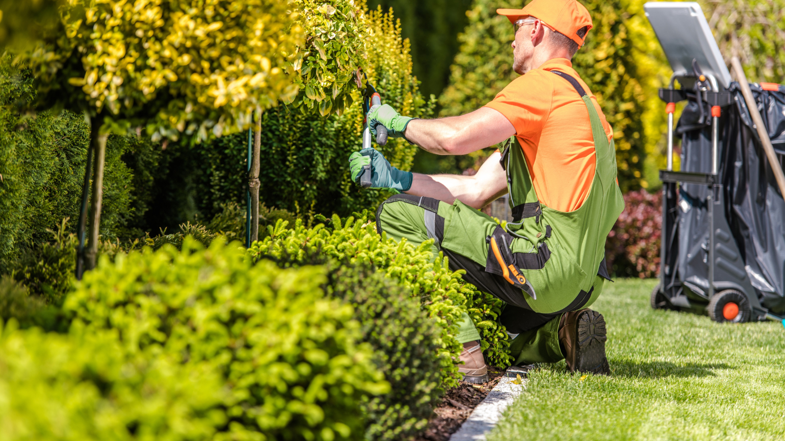 Affordable Seasonal Yard Maintenance Services Near Me for a Clean & Healthy Yard Affordable Seasonal Yard Maintenance Services Near Me for a Clean & Healthy Yard