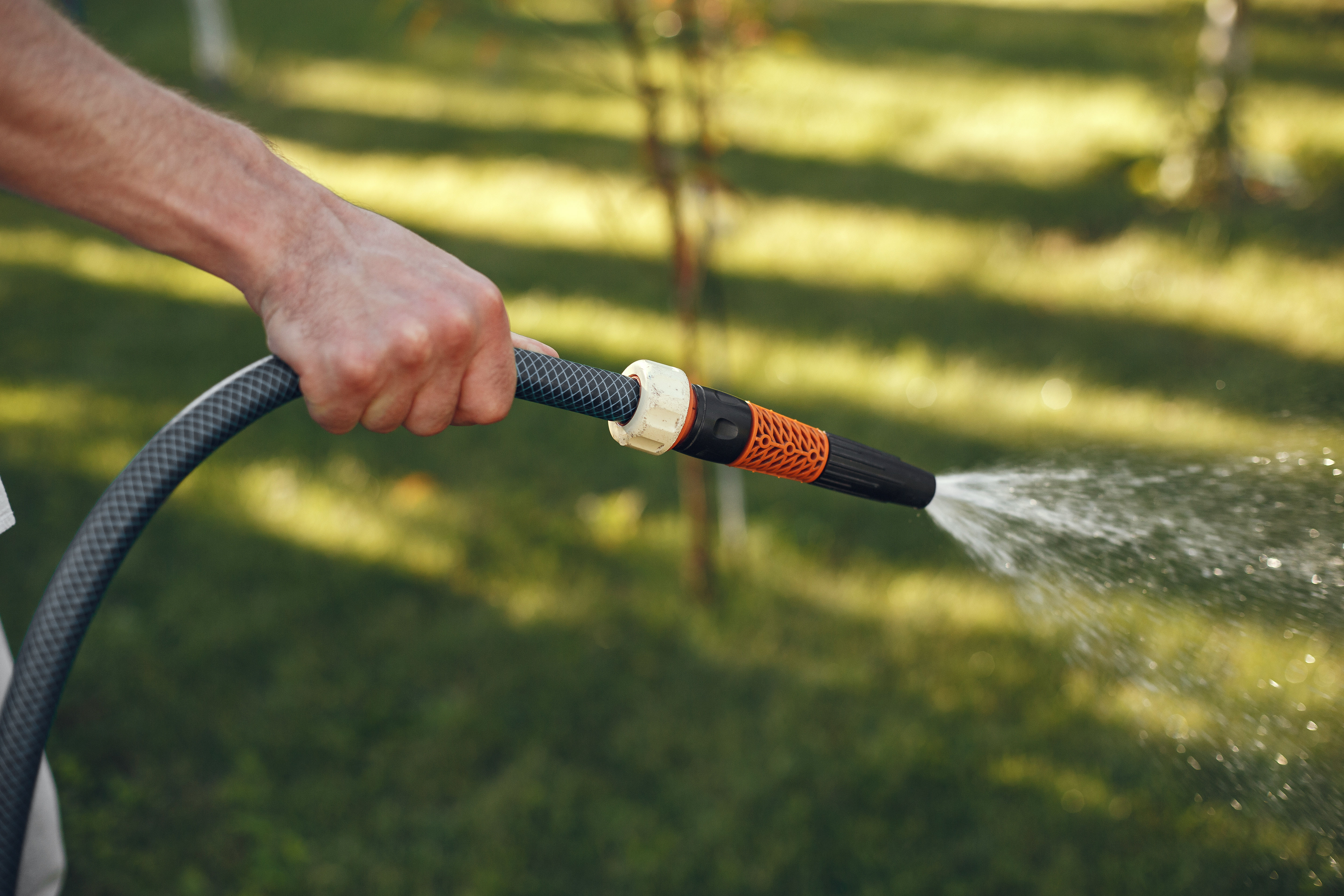 Spring Lawn Care Schedule: A Simple Month-by-Month Guide for a Healthy Lawn