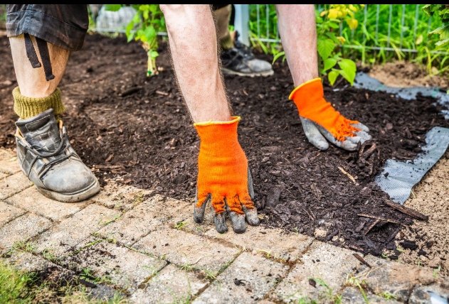 Mulch Installation Guide: Best Types, Timing and How Much You Need