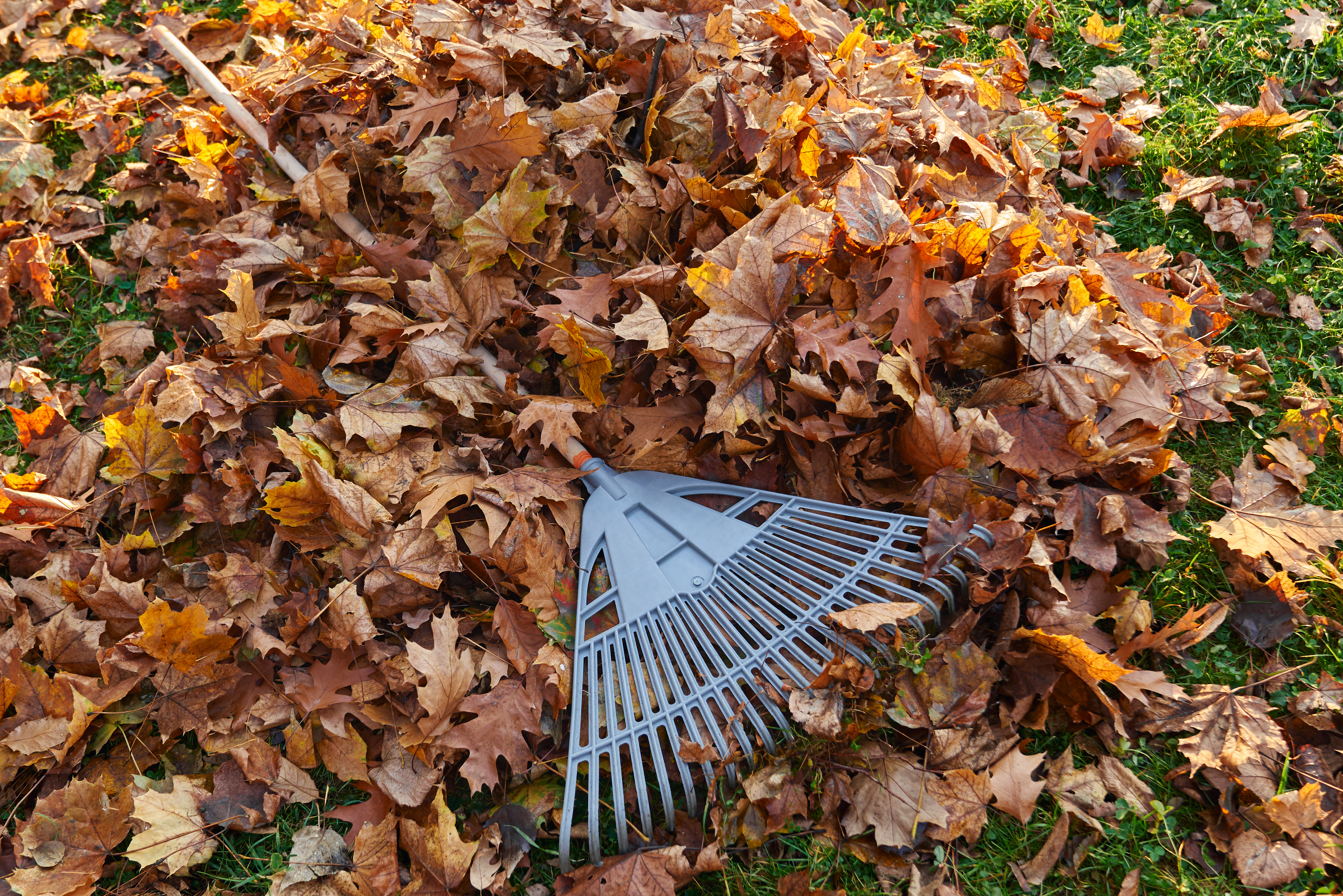 Mulch Installation Guide: Best Types, Timing and How Much You Need