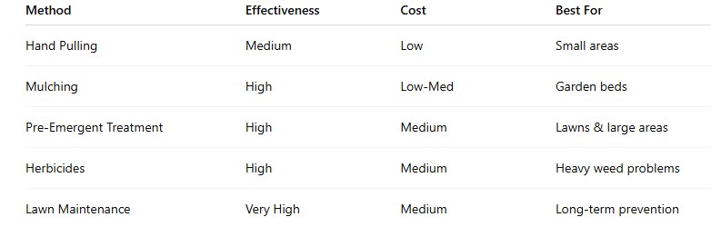 Weed Control Strategies That Actually Work: A Homeowners Guide Weed Control Strategies That Actually Work: A Homeowners Guide