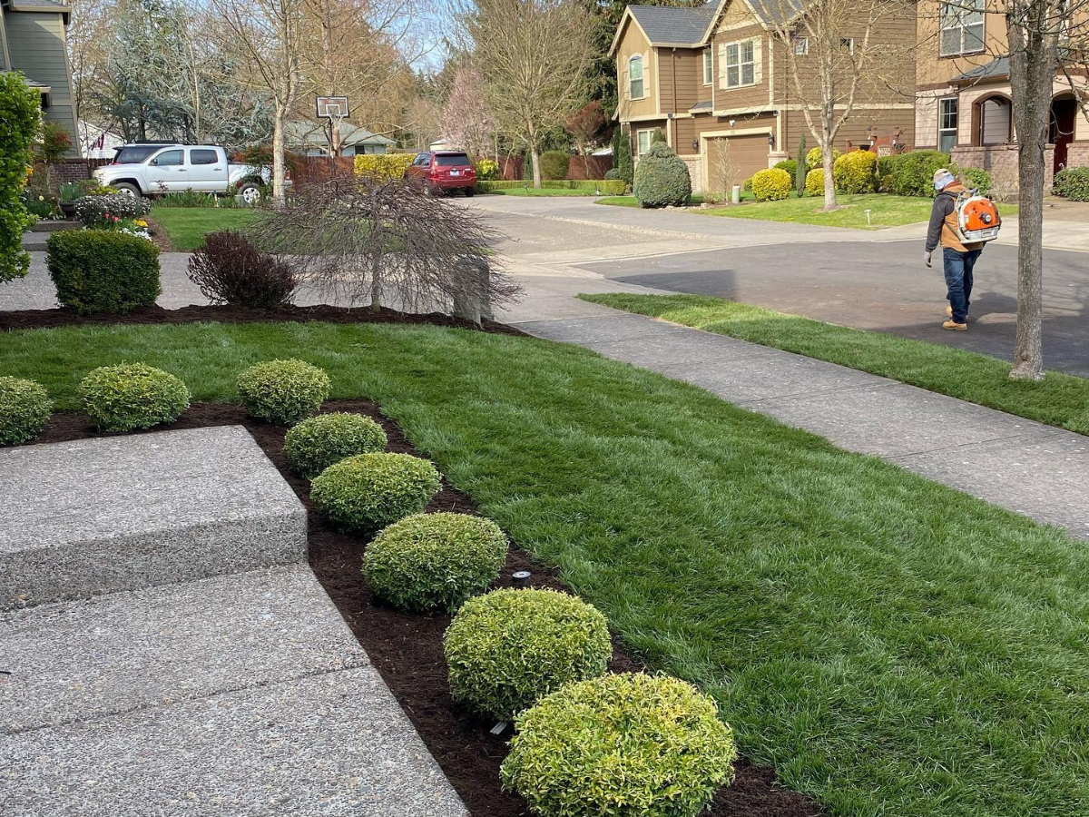landscape-maintainence