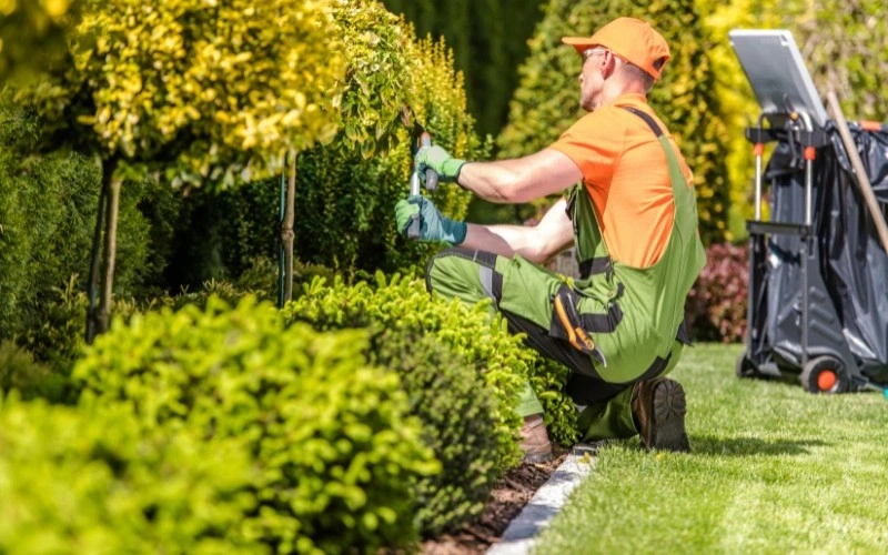landscaping landscaping