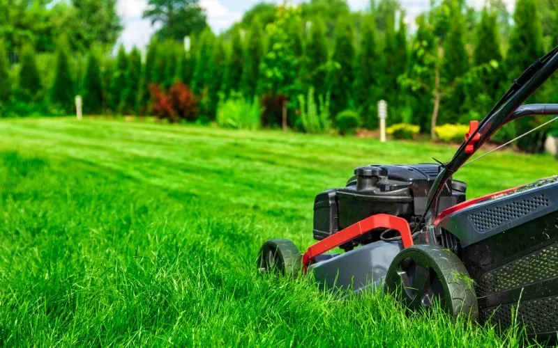 mowing mowing