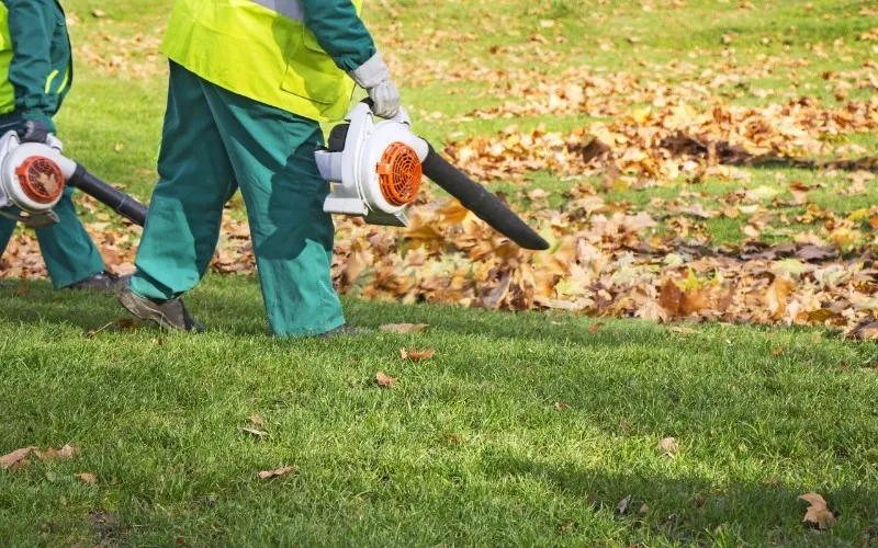 yard care services