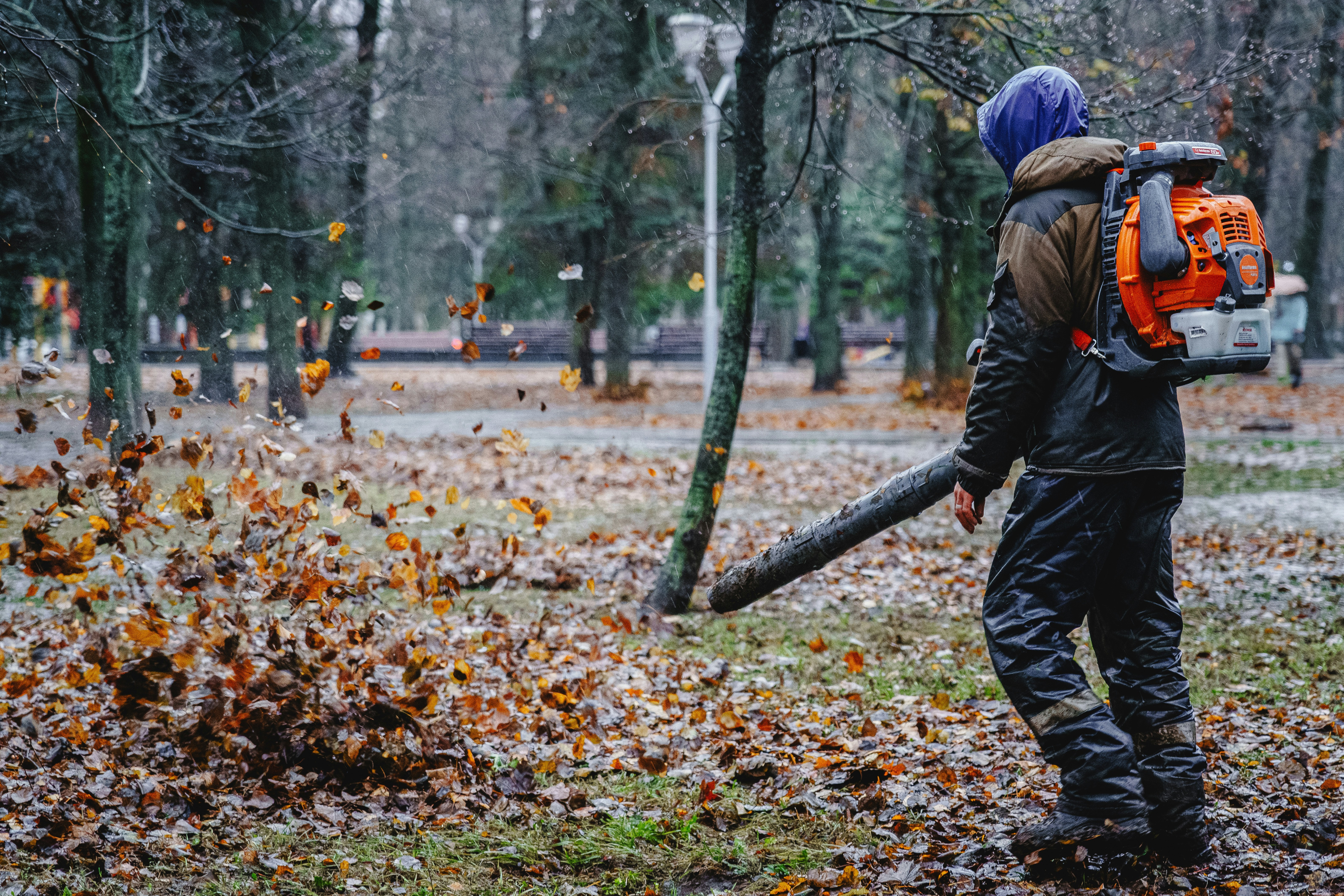 leaf removal service Washington County