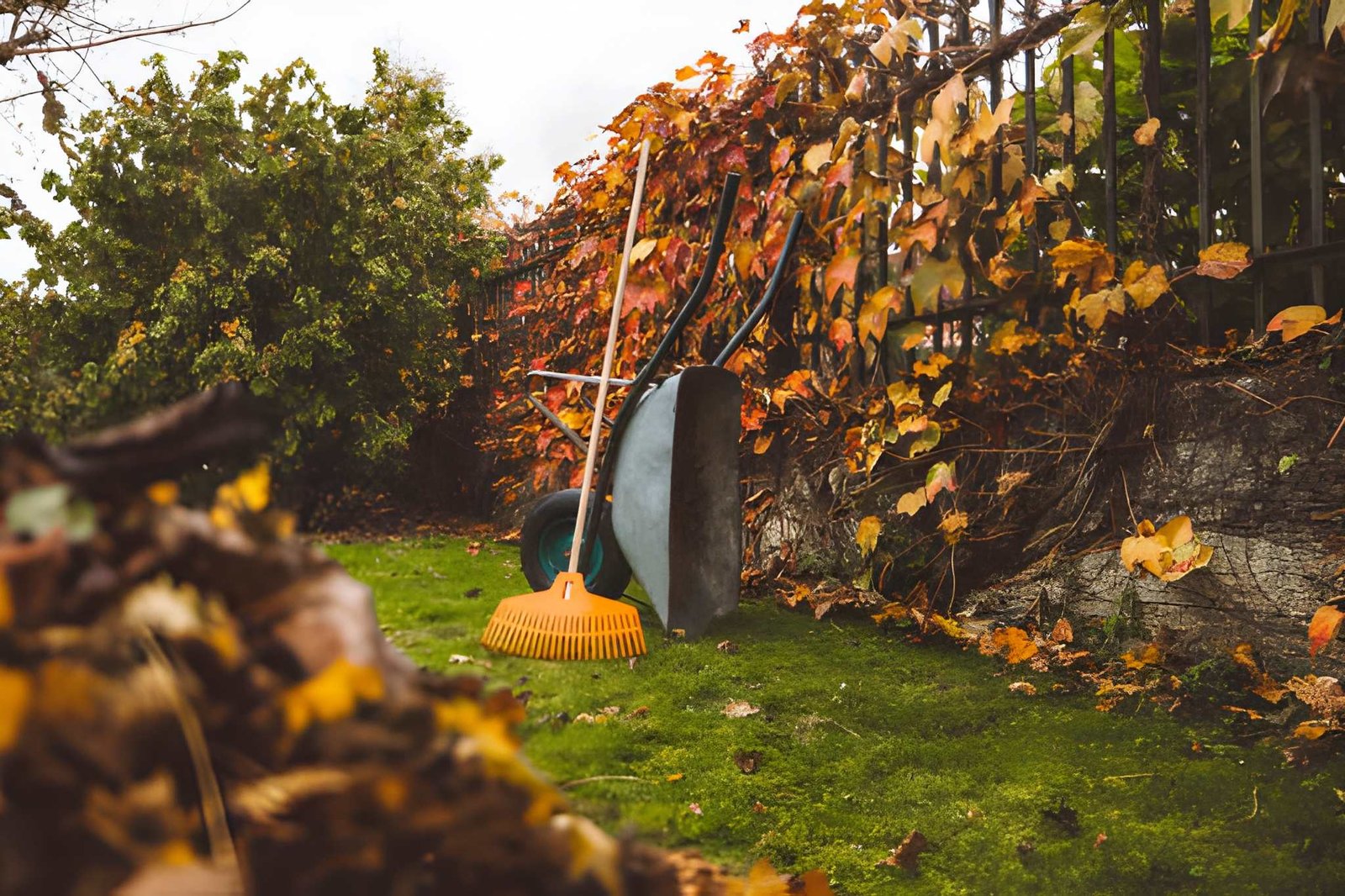 fall yard cleanup Portland metro