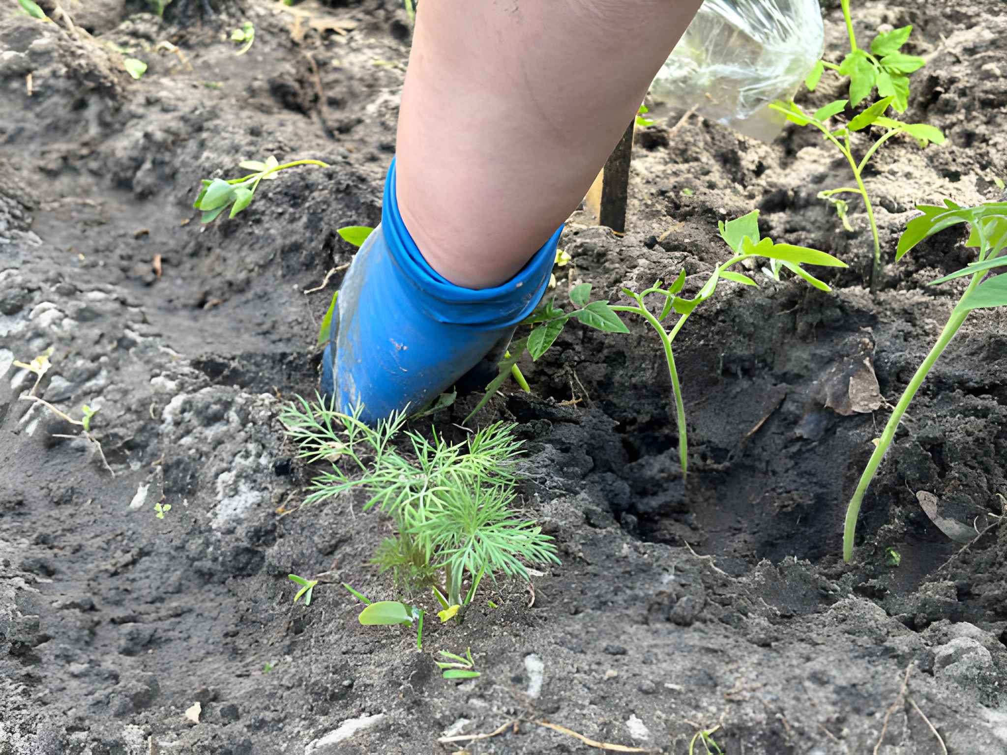 irrigation installation Clackamas County OR irrigation installation Clackamas County OR