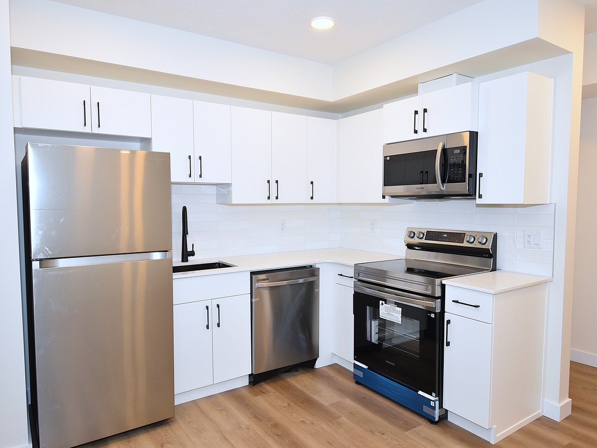 The Lower Suite at 2131 5 Avenue SW, Alces, Edmonton, AB in the Alces community photo 10