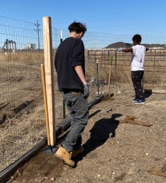 Young participants building fencing at Blooming Health Farms