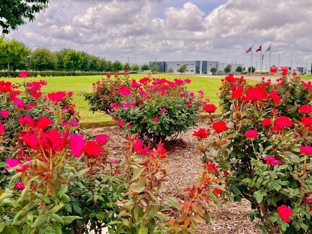 Commercial property landscaping by Terry's Landscape