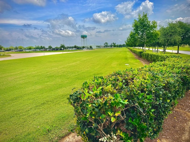 A neglected commercial facility landscape