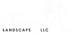 Terry's Landscape