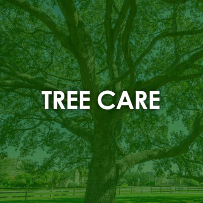 Tree Care