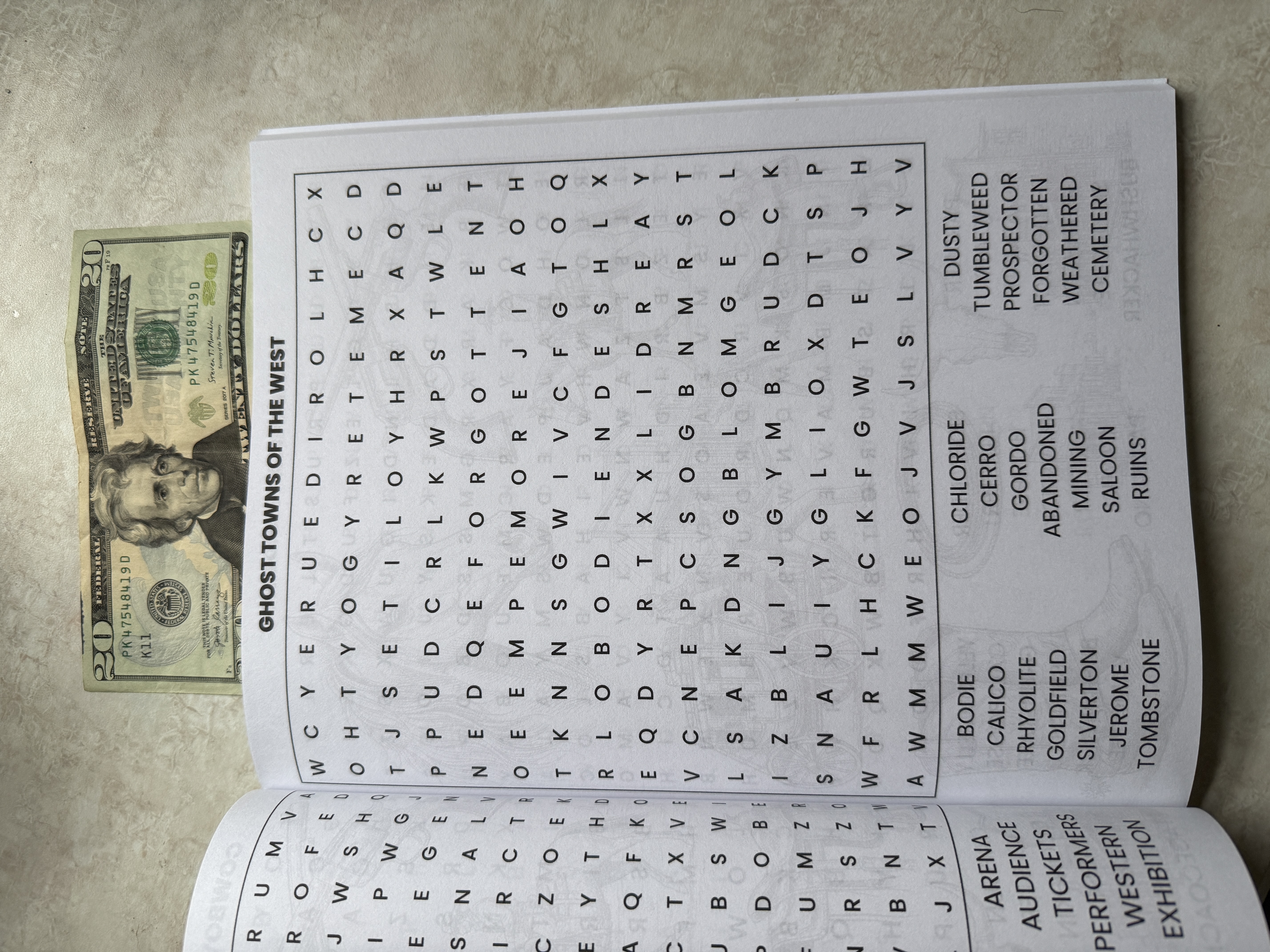 Interior puzzle page — grid letters visibly larger than $20 bill text