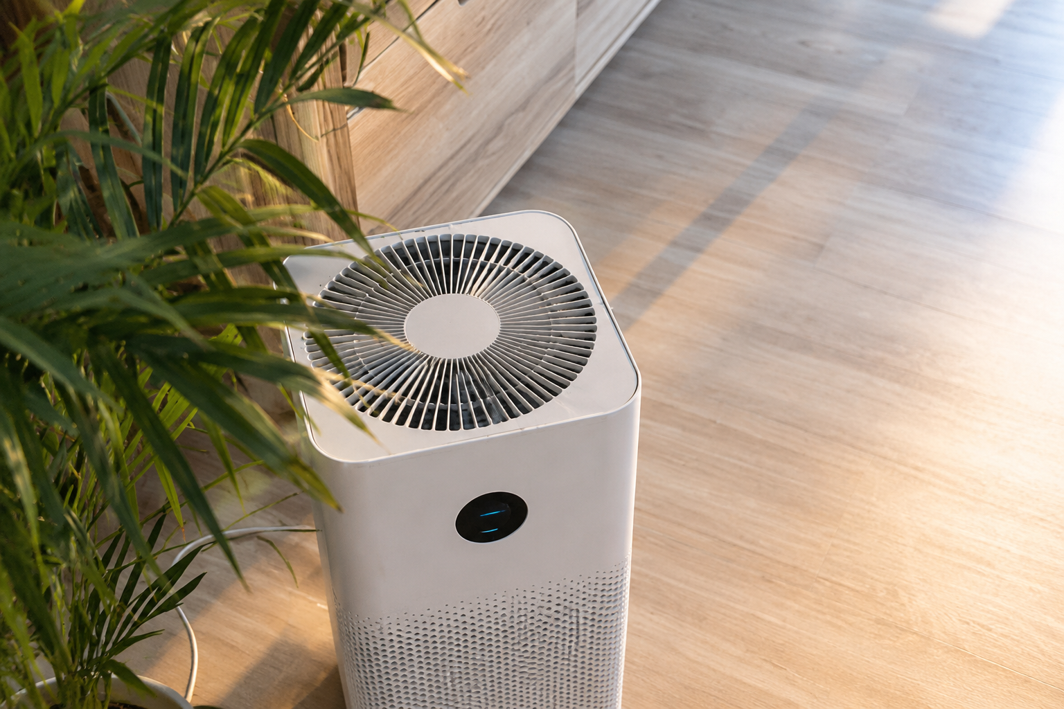 Indoor air quality HVAC equipment for an Upstate South Carolina home