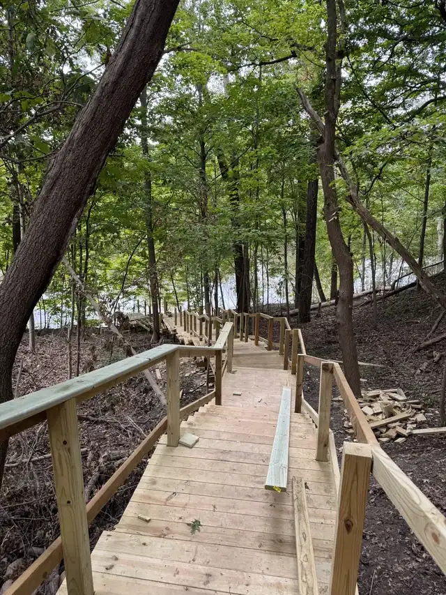 Wood walkway and railings among trees