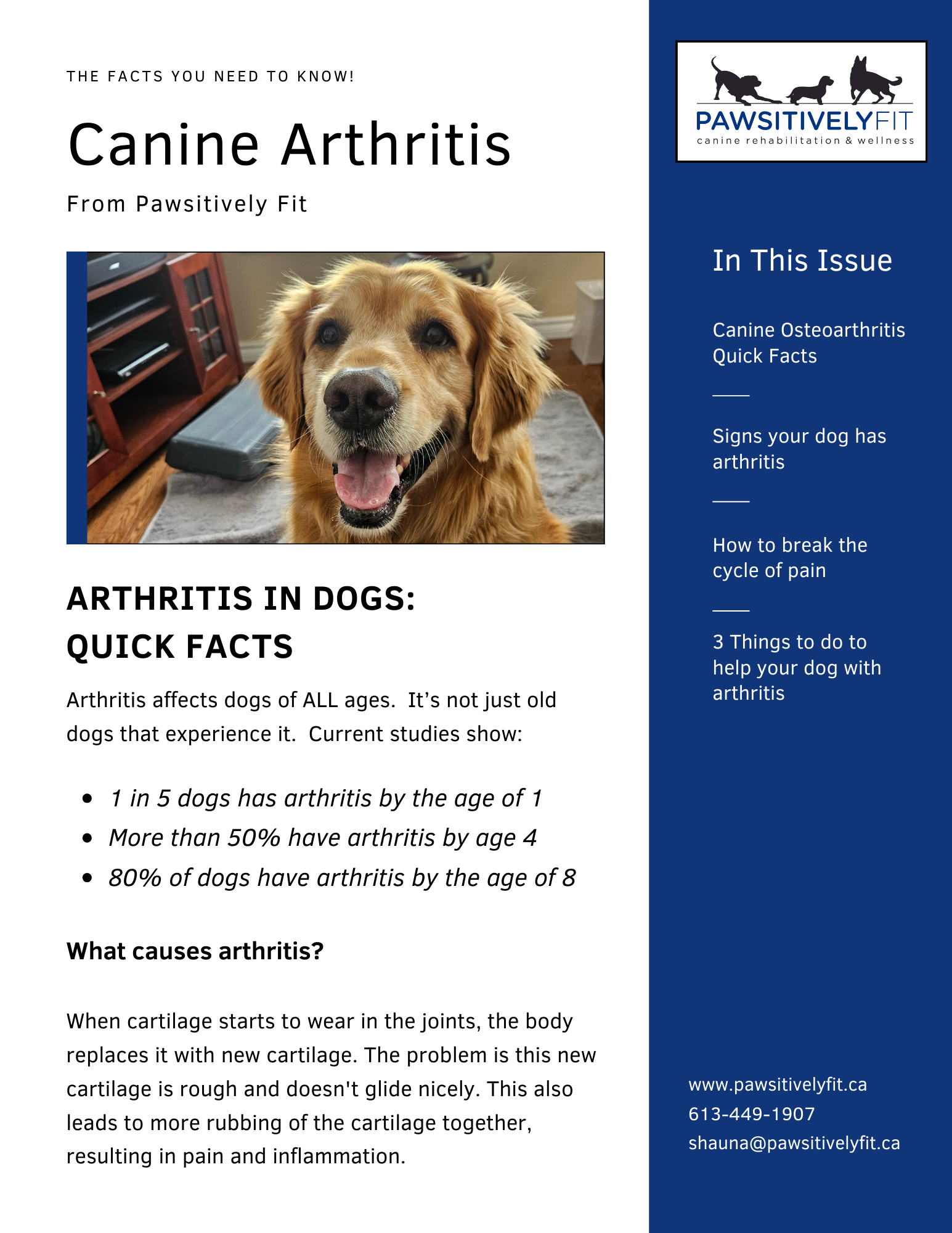 Arthritis Guide Cover