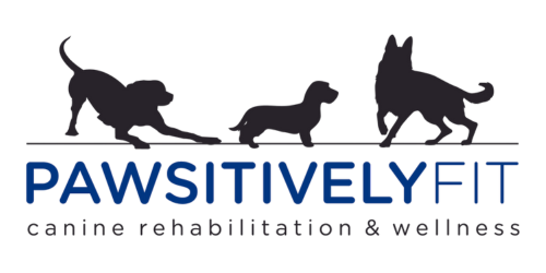 Pawsitively Fit Canine Rehab logo