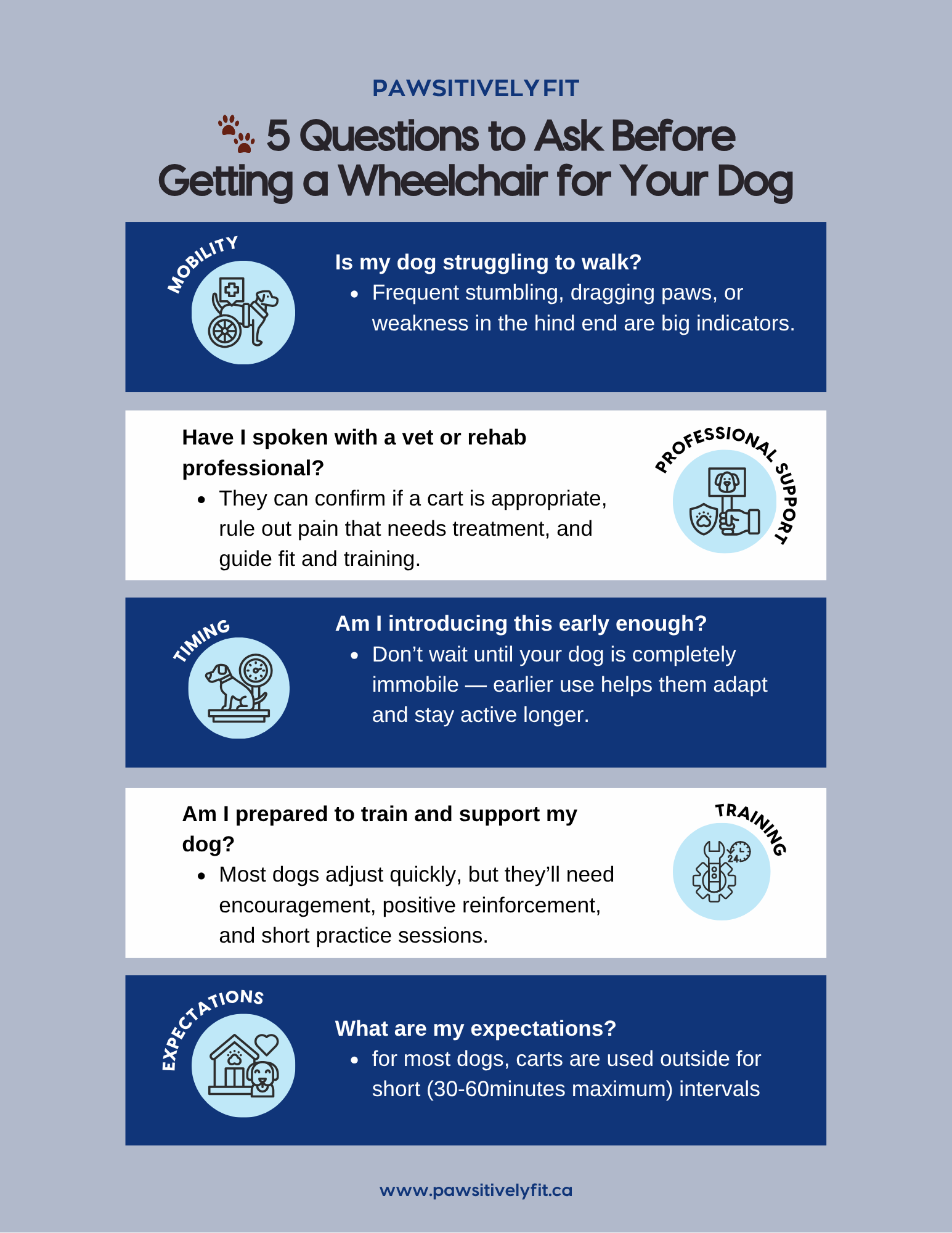Questions to ask when thinking of a dog wheelchair Questions to ask when thinking of a dog wheelchair