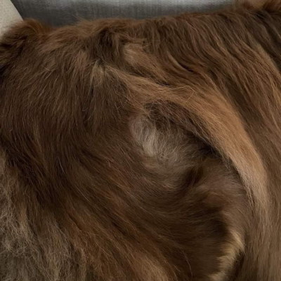 Coat swirl over area of pain