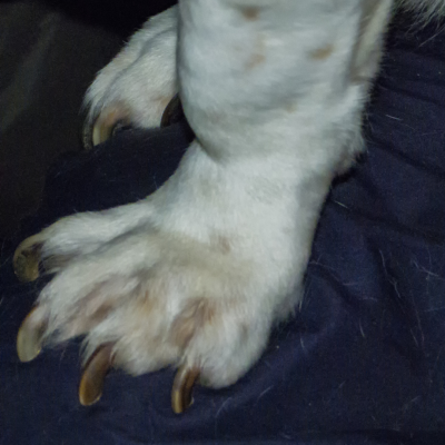 Physical Changes can be seen in the feet