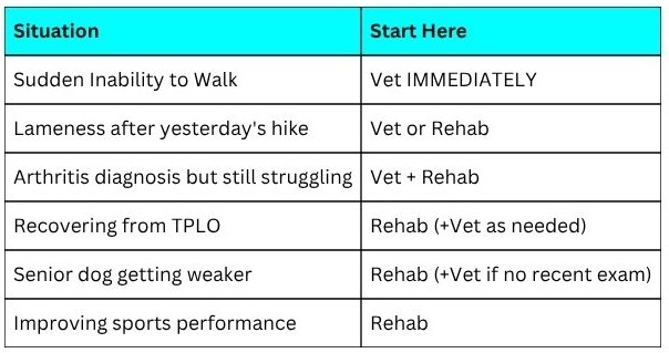 Decision chart for choosing vet or physio for your dog's care