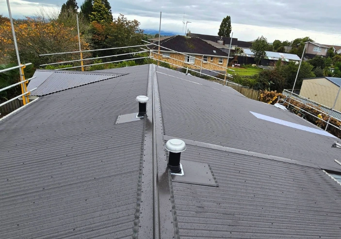 Waikato Roofing & Maintenance team working on longrun iron roofing in Hamilton