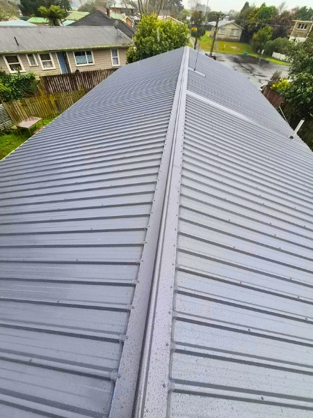 Expert longrun iron roofing project completed by Waikato Roofing & Maintenance in Hamilton and Waikato