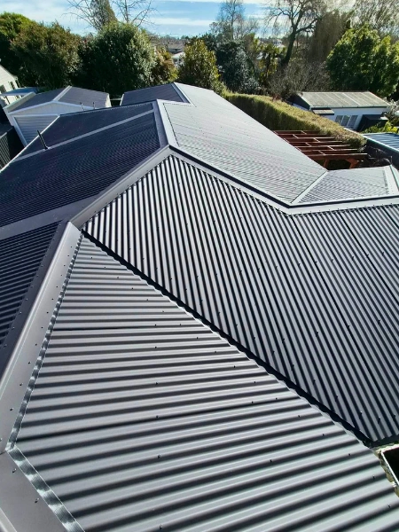 Expert longrun iron roofing project completed by Waikato Roofing & Maintenance in Hamilton and Waikato
