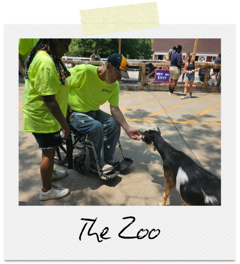 The Zoo: Two individuals are by a black, white, and brown goat, giving it treats.
