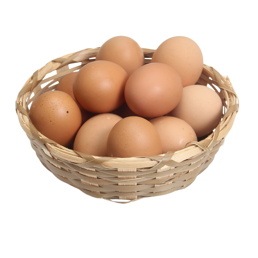 Fresh Eggs