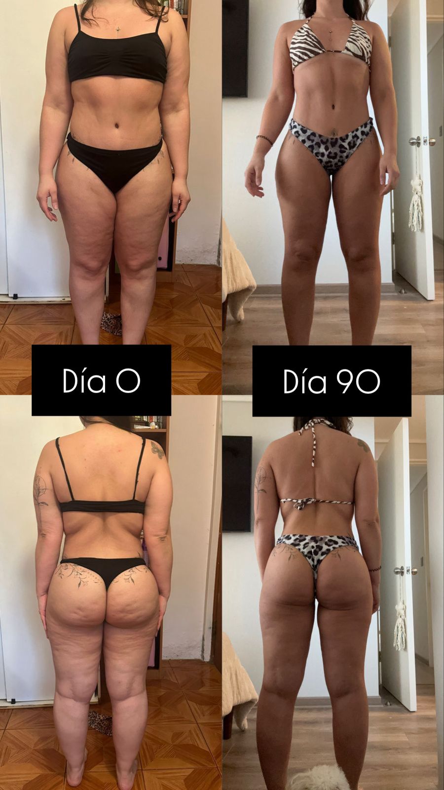 Transformación 4